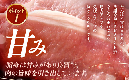 【ブランド豚】ふくいポーク ロース 100g × 2枚 計200g 国産豚肉 冷凍 カツ [e02-a039]