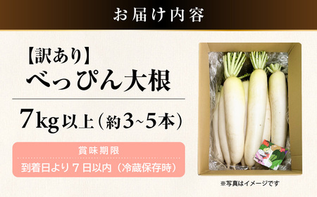 【訳あり】朝採り新鮮 べっぴん大根 7kg以上 産地直送【福井県産  冬野菜  野菜 だいこん  露地栽培 】 [e35-a043]