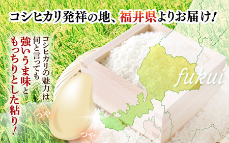 令和7年産 新米 米 5kg 精米 コシヒカリ 福井県産《14日以内に出荷予定》【白米 5キロ こしひかり お米 ごはん 人気品種 産地直送 新生活 kome】 [e66-a010]