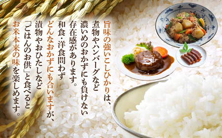 令和7年産 新米 米 5kg 精米 コシヒカリ 福井県産《14日以内に出荷予定》【白米 5キロ こしひかり お米 ごはん 人気品種 産地直送 新生活 kome】 [e66-a010]