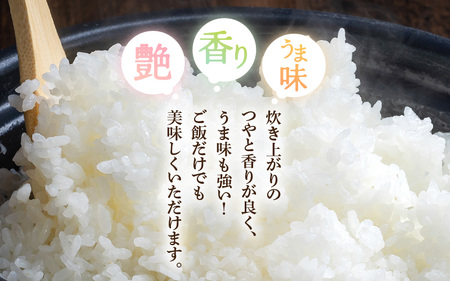 令和7年産 新米 米 5kg 精米 コシヒカリ 福井県産《14日以内に出荷予定》【白米 5キロ こしひかり お米 ごはん 人気品種 産地直送 新生活 kome】 [e66-a010]