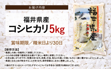 令和7年産 新米 米 5kg 精米 コシヒカリ 福井県産《14日以内に出荷予定》【白米 5キロ こしひかり お米 ごはん 人気品種 産地直送 新生活 kome】 [e66-a010]