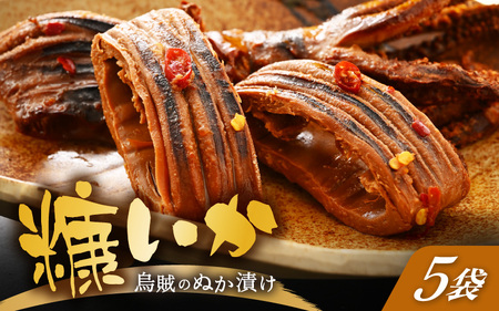 「焼くだけ簡単」国産 糠いか 5袋【 ぬかいか 無添加 海鮮 魚介類  発酵食品 】 [e80-a006]