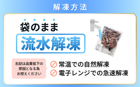 【急速冷凍】【訳あり】生いか 天然ケンサキイカ サイズ無選別 500g 定置網漁 皮むけ・サイズ不揃い【剣先いか 生イカ いか 白イカ いかめし いか焼き 姿焼き げそ 煮付け 海鮮 鮮魚 おつまみ】 [e15-a061]