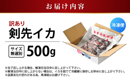 【急速冷凍】【訳あり】生いか 天然ケンサキイカ サイズ無選別 500g 定置網漁 皮むけ・サイズ不揃い【剣先いか 生イカ いか 白イカ いかめし いか焼き 姿焼き げそ 煮付け 海鮮 鮮魚 おつまみ】 [e15-a061]