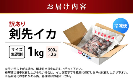 【ふるさと納税】【急速冷凍】【訳あり】生いか 天然ケンサキイカ サイズ無選別 1kg（500g × 2袋） [e15-a062]