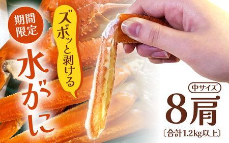 浜茹で越前カニ「水がに」 中サイズ  8肩 合計1.2kg以上  越前町 [e72-x007]