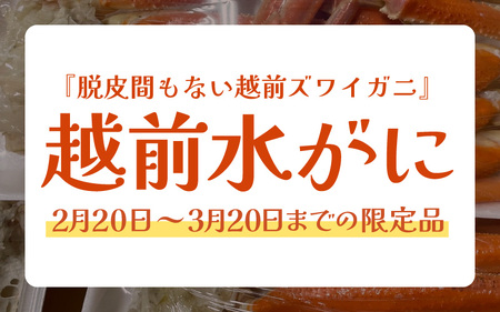 浜茹で越前カニ「水がに」 中サイズ  4肩 合計600g以上  越前町 [e72-x005] 