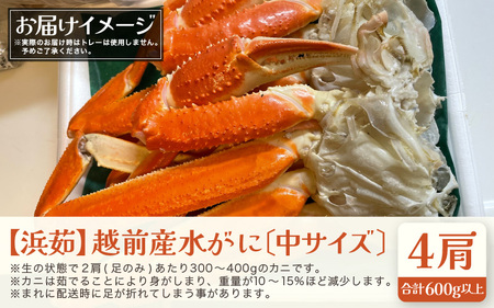 浜茹で越前カニ「水がに」 中サイズ  4肩 合計600g以上  越前町 [e72-x005] 