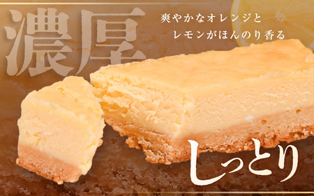 【2026年5月発送】【訳あり】濃厚！スイーツ チーズケーキ 2個セット【デザート 洋菓子  クッキー 冷凍】 [e44-a014_05]