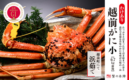 【わけあり】冬の日本海の味 浜茹で【越前がに 0.7kg前後】11月～翌3月順次発送 [e56-x014]