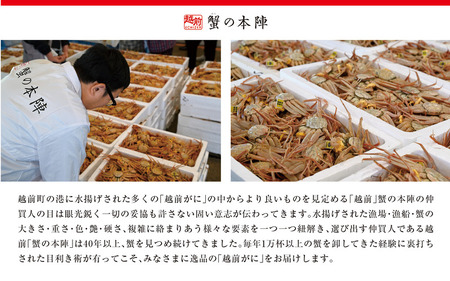 【わけあり】冬の日本海の味 浜茹で【越前がに 0.7kg前後】11月～翌3月順次発送 [e56-x014]