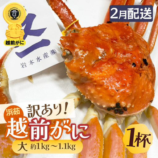 【訳あり】蟹本場 越前町から！越前カニ 浜茹で 大サイズ（生で約1.0kg～1.1kg） 1杯 [e72-x004_02]【2月発送
