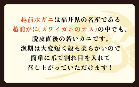 【期間限定】浜ゆで 越前産水がに小サイズ 12肩（足のみ2肩あたり200～300g） 合計1.2kg以上 産地直送 食べやすい【雄 ズワイガニ 越前ガニ 足のみ ボイル 冷蔵 かに カニ 蟹 福井県】希望日指定可 備考欄にメールアドレスをご記入ください [e68-x008]