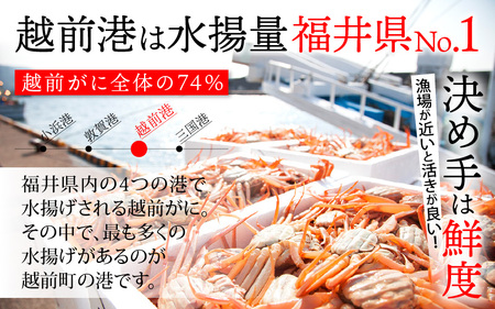 【訳あり】≪浜茹で≫越前がに 特大サイズ 1杯（生で1kg以上）【雄 ズワイガニ かに カニ 蟹 越前ガニ 姿 ボイル 冷蔵 福井県】【2月発送分】希望日指定可 備考欄に希望日をご記入ください [e68-x007_02]