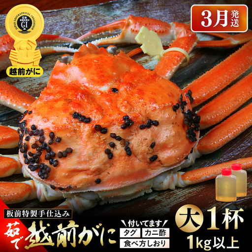 ≪茹で≫越前がに大（タグ付き）1杯（生で1㎏以上）カニ酢90cc付 板前特製手仕込み 食べ方しおり付き【雄 ズワイガニ かに カニ 蟹 越前ガニ 姿 ボイル 冷蔵 福井県】【3月発送分】希望日指定可 備考欄に電話番号をご記入ください [e29-x002_03]