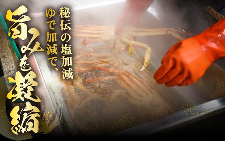 【蟹本場 】 越前町から！ 越前がに浜茹で 極落ち（生で1.5kg以上）1杯【2月発送】 [e43-x014_02] 