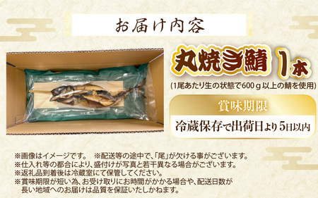 【先行予約】【福井県名物】丸焼き鯖 1本 【2026年5月下旬頃より順次発送】【 魚 サバ  】 [e38-a004]