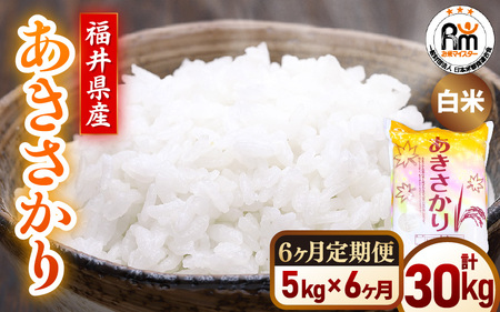 【米の定期便6ヶ月】令和7年産  あきさかり 精米 5kg × 6回（計30kg）福井県産【 ごはん 人気品種 産地直送 新生活 】 [e66-h002]