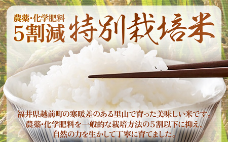 定期便 ≪6ヶ月連続お届け≫  令和7年産 特別栽培米5kg × 6回（計30kg）【白米】農薬5割減 [e81-f001_01]
