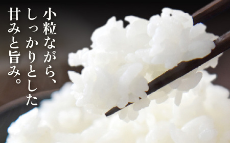 定期便 ≪6ヶ月連続お届け≫  令和7年産 特別栽培米5kg × 6回（計30kg）【白米】農薬5割減 [e81-f001_01]