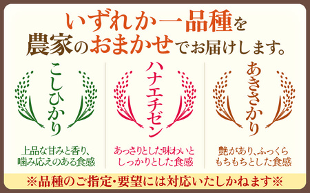 定期便 ≪6ヶ月連続お届け≫  令和7年産 特別栽培米5kg × 6回（計30kg）【白米】農薬5割減 [e81-f001_01]