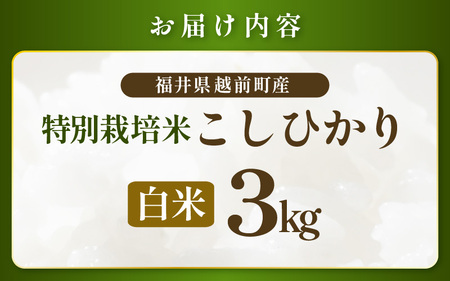 【令和7年産 】 特別栽培米コシヒカリ3kg 無農薬米(白米）福井県認証区分1取得【3キロ  農薬化学肥料不使用】 [e81-a003_01]