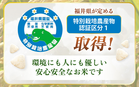 【令和7年産 】 特別栽培米コシヒカリ5kg 無農薬米(白米）福井県認証区分1取得【5キロ  農薬化学肥料不使用】 [e81-b001_01]