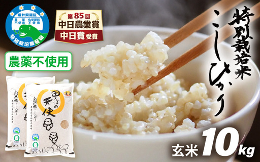 【令和7年産】農薬不使用 特別栽培米コシヒカリ10kg（5kg×2）【玄米】福井県認証区分1取得「田んぼの天使」越前町【10キロ お米 コメ 農薬化学肥料不使用 送料無料】 [e10-d004]