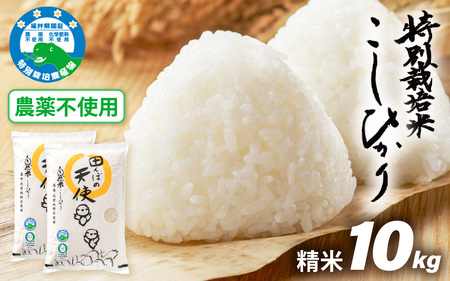 【令和7年産】農薬不使用 特別栽培米コシヒカリ10kg（5kg×2）【精米】福井県認証区分1取得「田んぼの天使」越前町 【10キロ お米 コメ 農薬化学肥料不使用 送料無料】 [e10-d005]