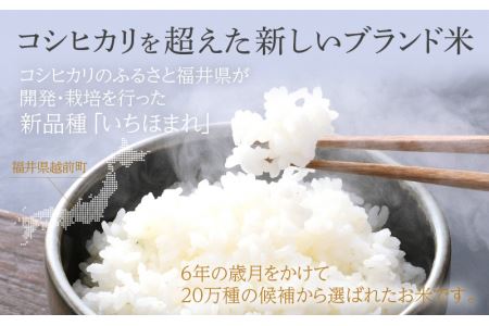 【新米】無洗米の定期便6回お届け！米どころ福井の無洗米！無洗米いちほまれ10kg×6回 [e27-k005] 福井県 無洗米 いちほまれ 定期便 6ヶ月連続 米 お米