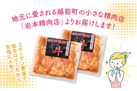 国産牛 上ホルモン 計500g（250g × 2袋）シマチョウ・ぷるぷる小腸のセット 旨みそダレ漬！【小分け バーベキュー】 [e03-a016]