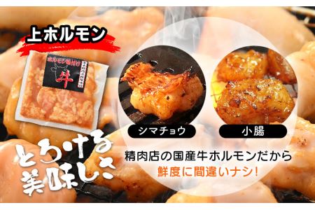 国産 牛ホルモン セット 計800g（上ホルモン・ミックスホルモン 各2袋） 旨みそダレ漬け！【冷凍 お手軽 小分け BBQ】[e03-a018]