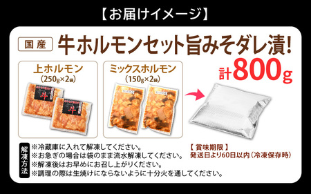 国産 牛ホルモン セット 計800g（上ホルモン・ミックスホルモン 各2袋） 旨みそダレ漬け！【冷凍 お手軽 小分け BBQ】[e03-a018]