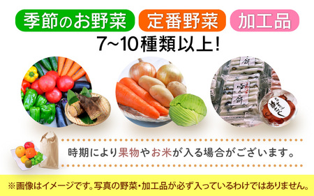期間限定！季節の野菜・加工品 7～10種以上 詰合せ「おもいでな野菜セット」【人気 おまかせ 詰め合わせ 季節 旬 新鮮】 [e26-a001]