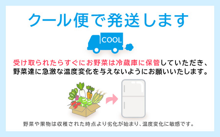 期間限定！季節の野菜・加工品 7～10種以上 詰合せ「おもいでな野菜セット」【人気 おまかせ 詰め合わせ 季節 旬 新鮮】 [e26-a001]