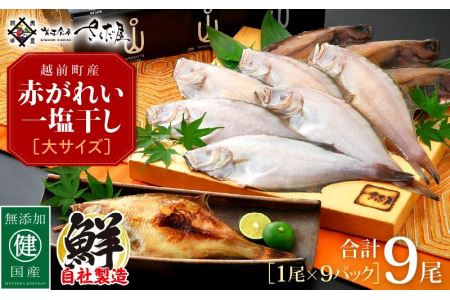 干物 赤がれい一塩干し 大サイズ（1尾 × 9パック入り）1尾約170g【カレイ かれい ひもの 小分け 無添加 冷凍】 [e04-a090]