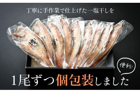 干物 赤がれい一塩干し 大サイズ（1尾 × 9パック入り）1尾約170g【カレイ かれい ひもの 小分け 無添加 冷凍】 [e04-a090]