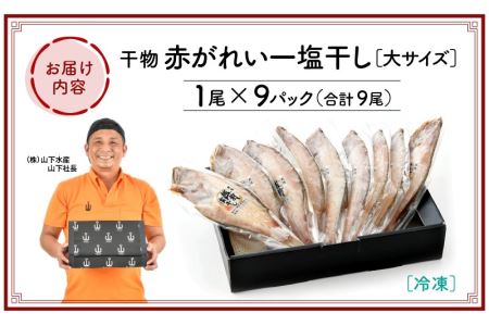 干物 赤がれい一塩干し 大サイズ（1尾 × 9パック入り）1尾約170g【カレイ かれい ひもの 小分け 無添加 冷凍】 [e04-a090]