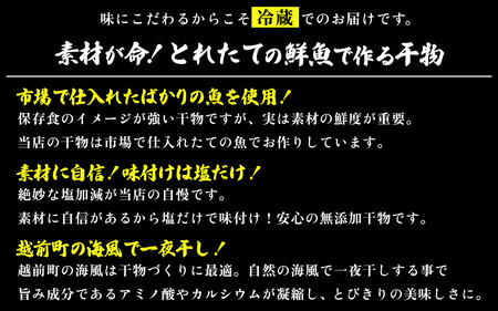  【先行予約】冷蔵配送！添加物不使用 干物 越前産 赤かれい（6枚入り）大サイズ 産地直送！こだわり一夜干し  調理しやすい 【魚介 ひもの 干物 赤ガレイ かれい干物 カレイひもの 人気 お取り寄せ グルメ赤カレイ 無添加  お取り寄せ 海鮮 グルメ】【2024年9月より順次発送】 [e43-a001]