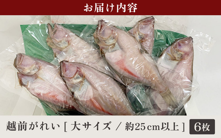  【先行予約】冷蔵配送！添加物不使用 干物 越前産 赤かれい（6枚入り）大サイズ 産地直送！こだわり一夜干し  調理しやすい 【魚介 ひもの 干物 赤ガレイ かれい干物 カレイひもの 人気 お取り寄せ グルメ赤カレイ 無添加  お取り寄せ 海鮮 グルメ】【2024年9月より順次発送】 [e43-a001]