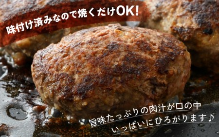 ハンバーグ 若狭牛入  5個セット 計650g（個包装 約130g  5個）味付きハンバーグ 冷凍 [e02-a019]