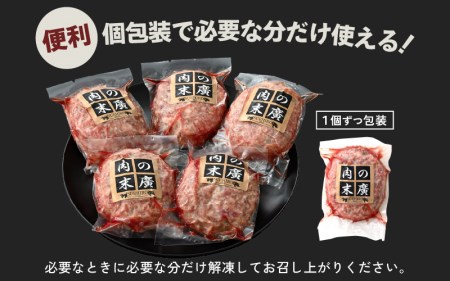 若狭牛入り 手ごね ハンバーグ 5個セット 計650g（便利な個包装 約130g × 5個）味付き【国産 福井県 小分け 冷凍】 [e02-a019]  | 福井県越前町 | ふるさと納税サイト「ふるなび」