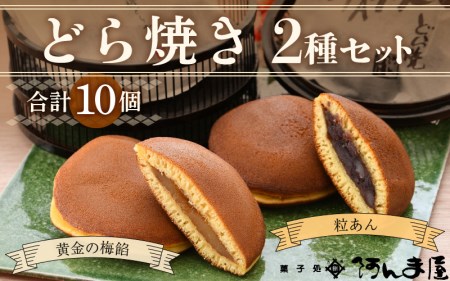 【先行予約】どら焼き 2種セット「黄金の梅餡 5個 & 粒あん 5個」（計10個）ブランド梅「黄金の梅」使用！ 【2025年6月上旬より順次発送予定】 [e07-a014]