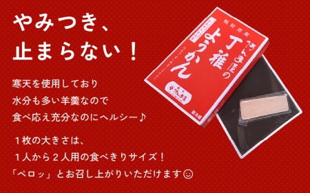 水ようかん「阿んま屋の丁稚羊羹」一枚流し 約250g × 3箱（計750g）【冬季限定 福井 和菓子 スイーツ】 [e07-a012]