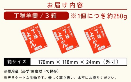 水ようかん「阿んま屋の丁稚羊羹」一枚流し 約250g × 3箱（計750g）【冬季限定 福井 和菓子 スイーツ】 [e07-a012]