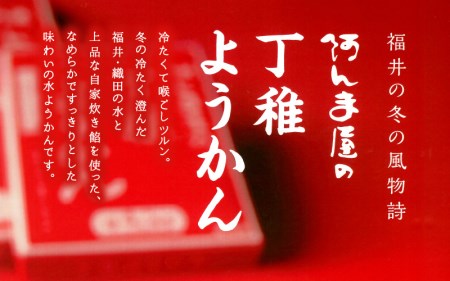 水ようかん「阿んま屋の丁稚羊羹」一枚流し 約250g × 5箱（計1250g）【冬季限定 福井 和菓子 スイーツ】 [e07-a019]