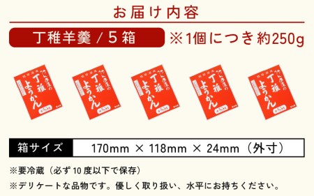水ようかん「阿んま屋の丁稚羊羹」一枚流し 約250g × 5箱（計1250g）【冬季限定 福井 和菓子 スイーツ】 [e07-a019]
