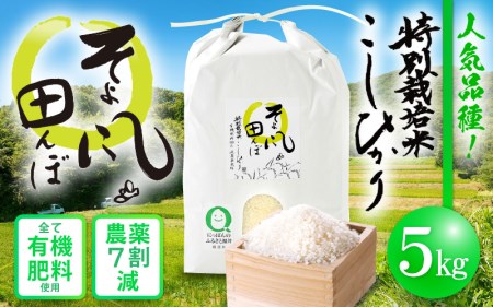 米 特別栽培米 コシヒカリ 5kg 令和5年産 新米 福井県産【こしひかり 5