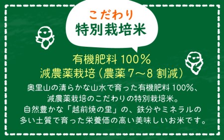 米 定期便 ≪3ヶ月連続お届け≫ 特別栽培米 コシヒカリ 5kg × 3回 福井県産米（有機肥料100% 農薬7割減）【令和6年産 新米 人気品種 こしひかり 計15キロ】 [e10-d001]